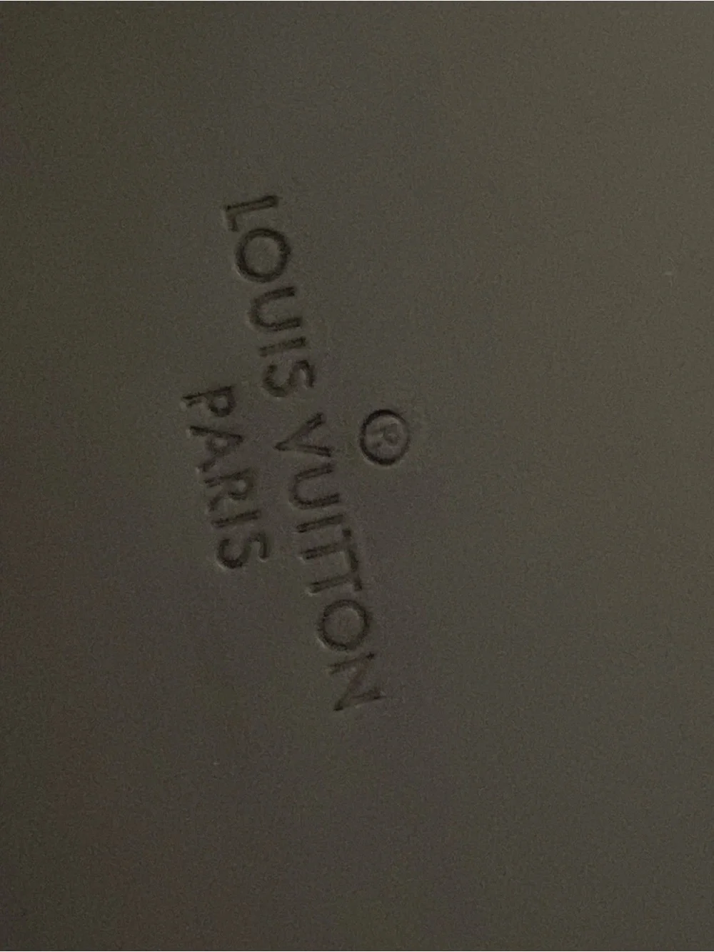 Louis Vuitton silicone snap pouch Portfolio Authentic Collector’s item